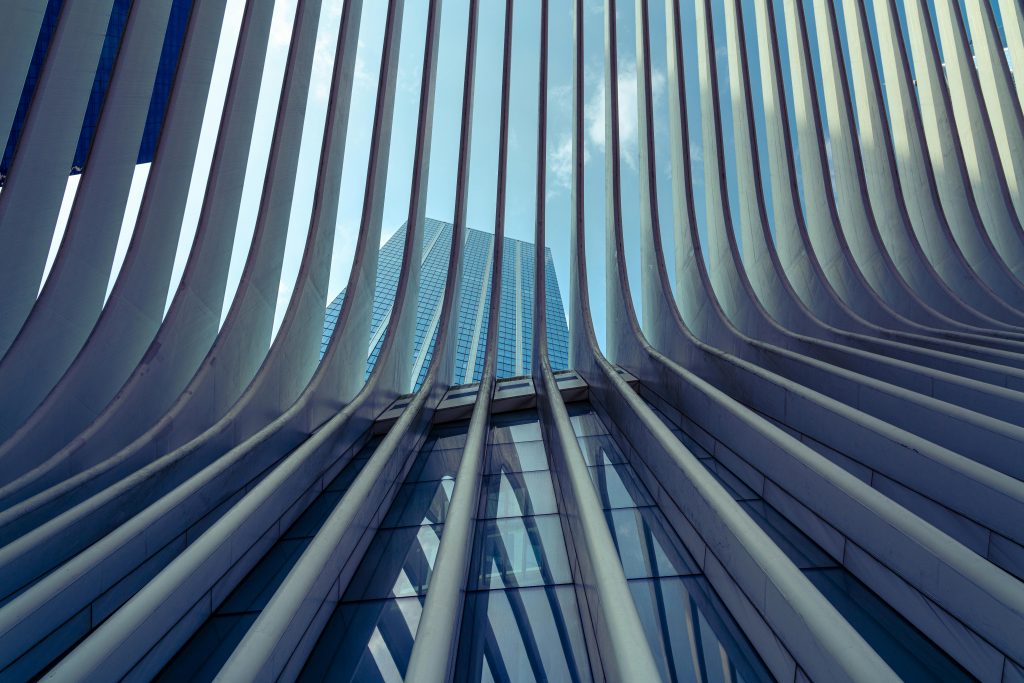 pexels-rperucho-35300547